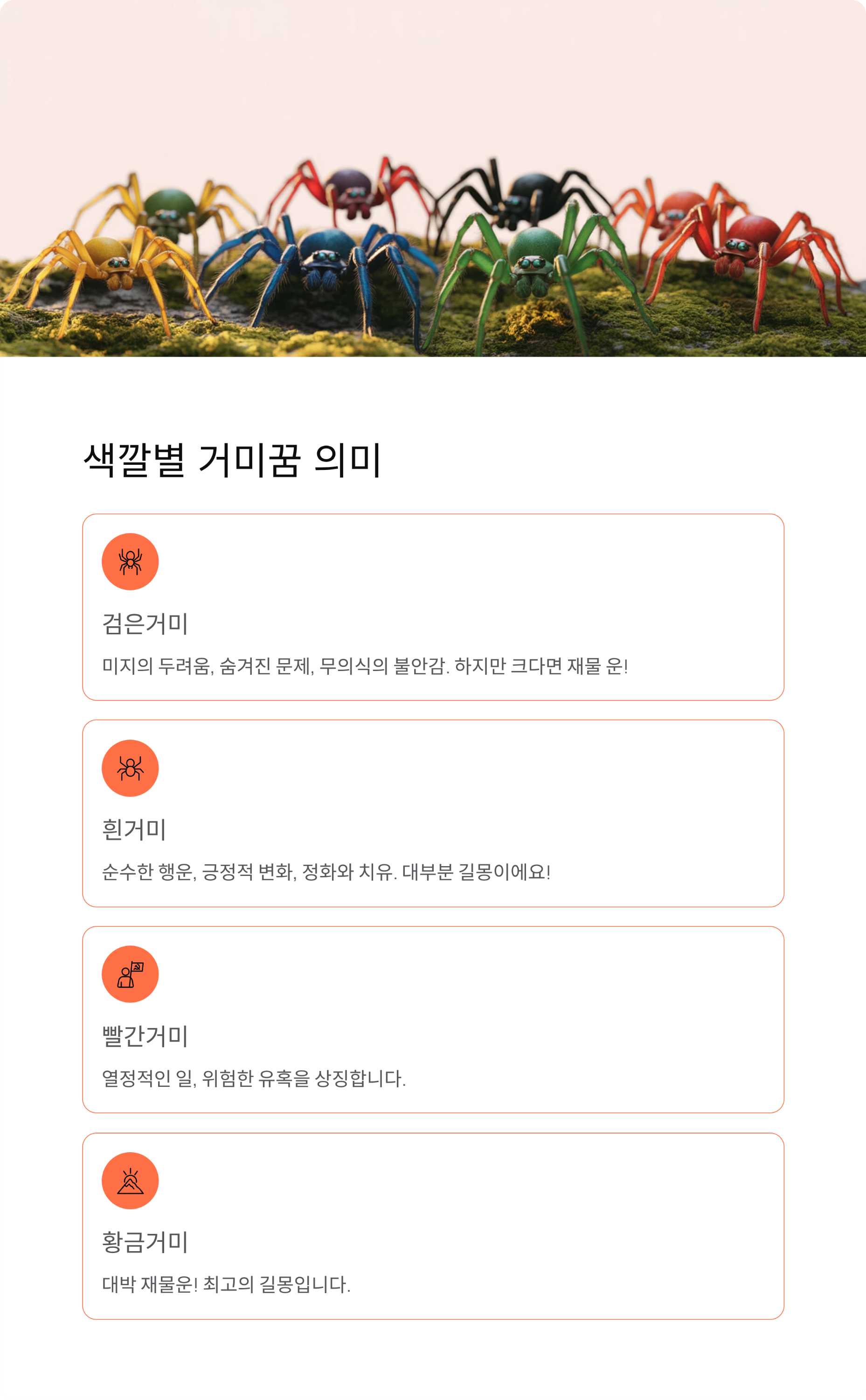 거미꿈 해몽 완벽 가이드