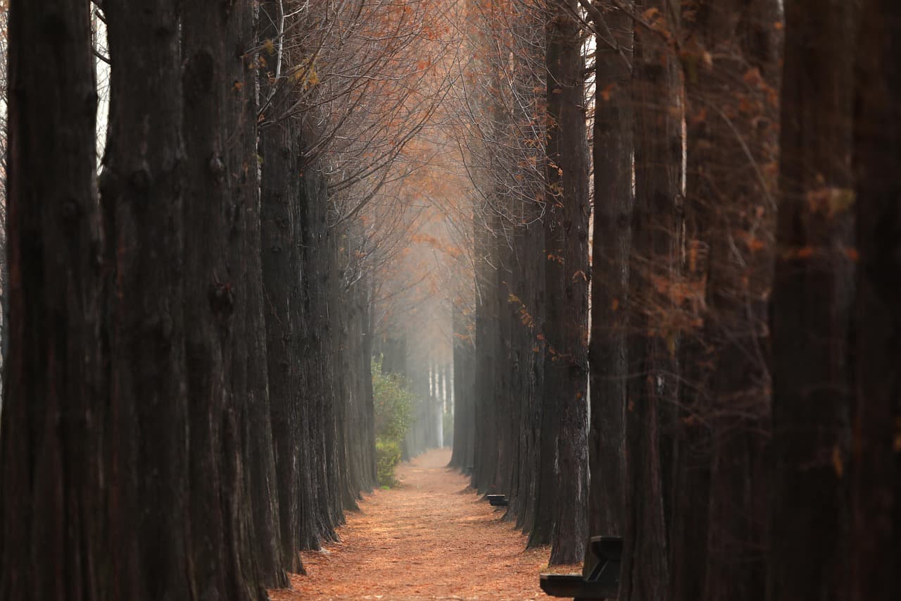 도시 재생 사업에서 &lsquo;선정 이후&rsquo;가 더 중요한 이유