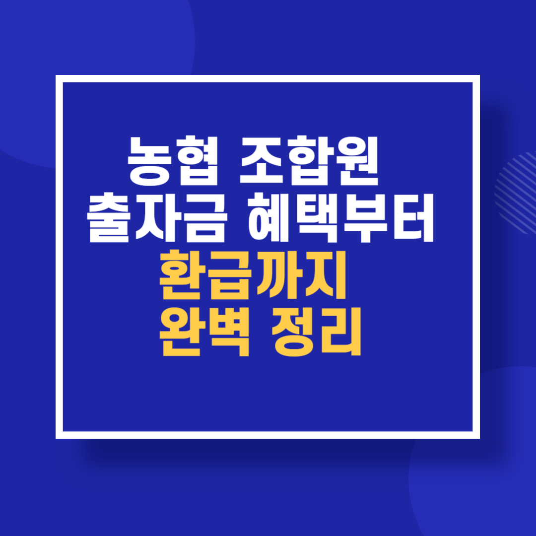 농협 조합원 출자금 혜택부터 환급까지 완벽 정리