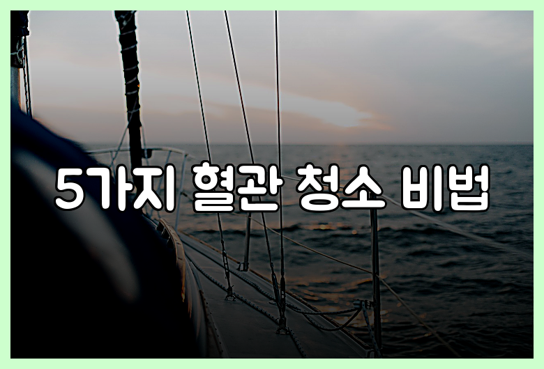 5가지 혈관 청소 비법
