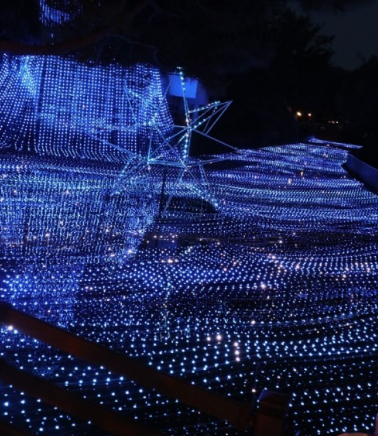 365일 빛축제 가을에 꼭 가봐야할 빛축제 BEST 5