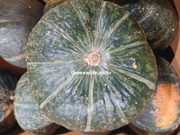 눈 건강과 시력 보호 효능에 필수적인 베타카로틴 가득한 단호박 실물 사진