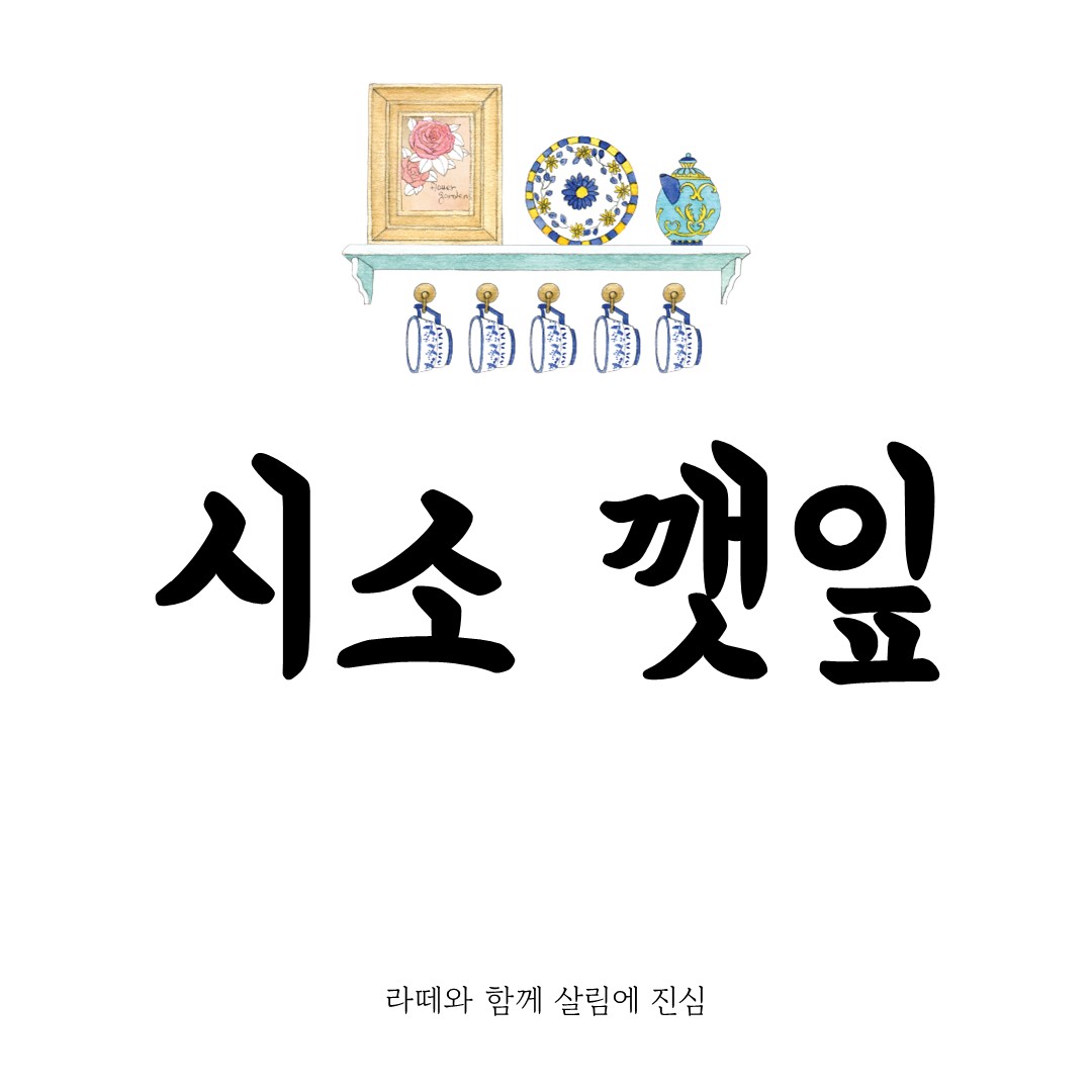 시소 깻잎 완벽 정리: 특징, 효능, 요리까지