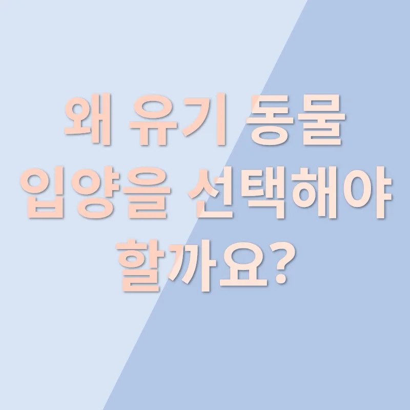 동물 입양_1