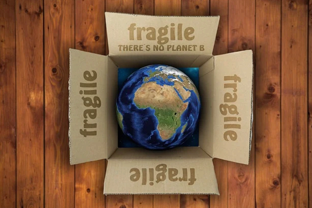 아이들의 기후불안을 예방하는 학교교육(초등학교)