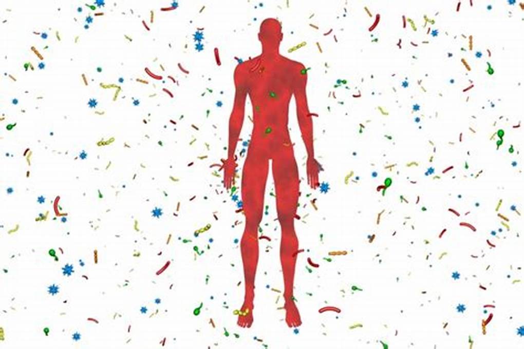 면역력이 당신을 지킨다. 무병장수 위한 면역비책