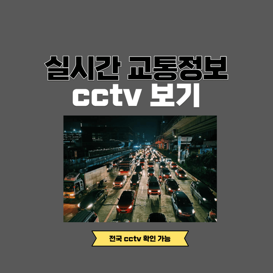 실시간 교통정보 