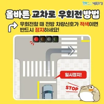 우회전 방법과 일시정지 방법 신호위반 단속 우회전시 횡단보도 파란불 관련 정리_19