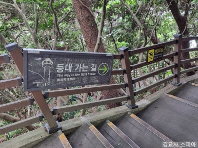 부산 태종대 폭염 여행 리얼후기🌊 여름 필수템 8가지 추천