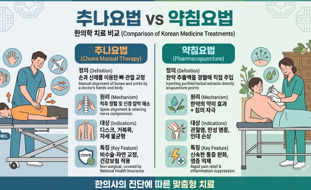 추나요법과 약침의 역할을 비교한 인포그래픽