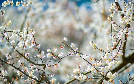 3월 국내 여행지 추천