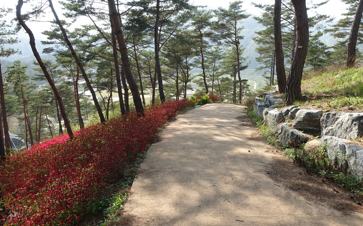 2025 건강도시 스탬프 투어