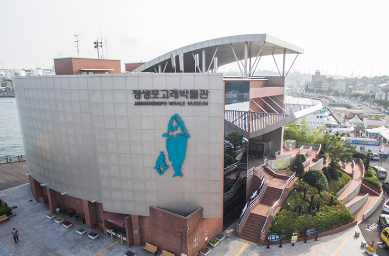울산 장생포 고래 박물관 이미지