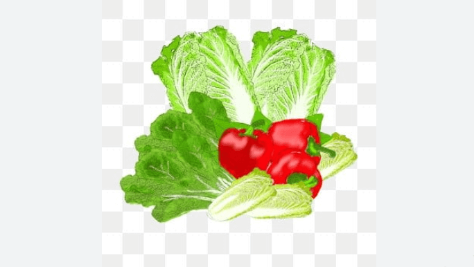 절임배추와 고추, 배추 그림이 중앙에 배치된 투명 배경의 김장 재료 일러스트 이미지입니다.