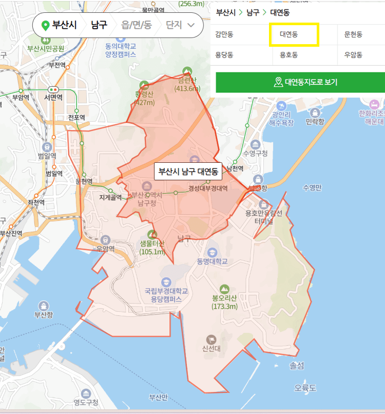 부산시 남구 대연동 지도