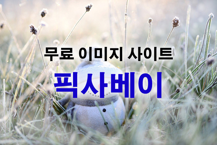 무료 이미지 사이트 픽사베이