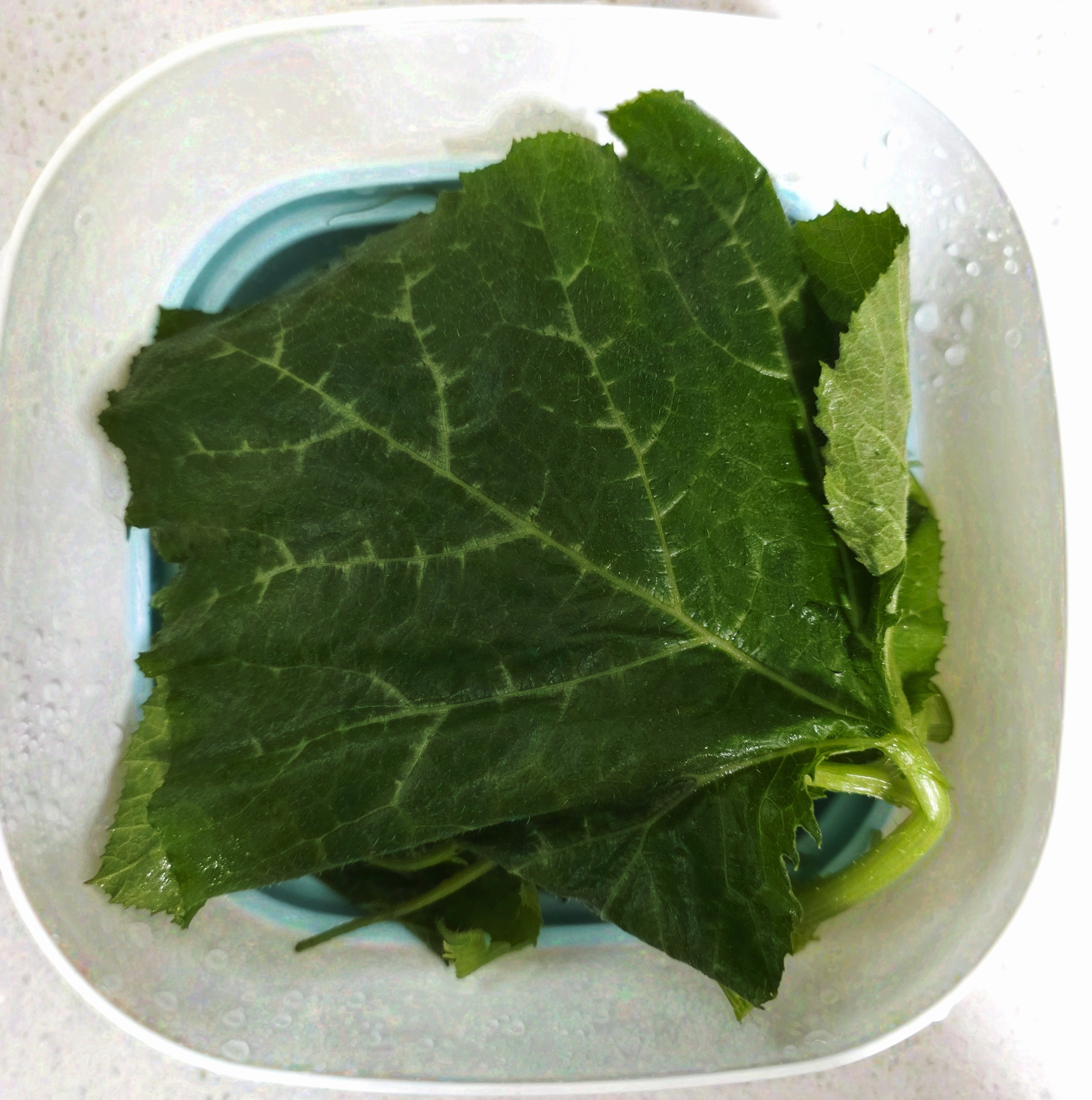 전자레인지-찜기를-사용했어요.
