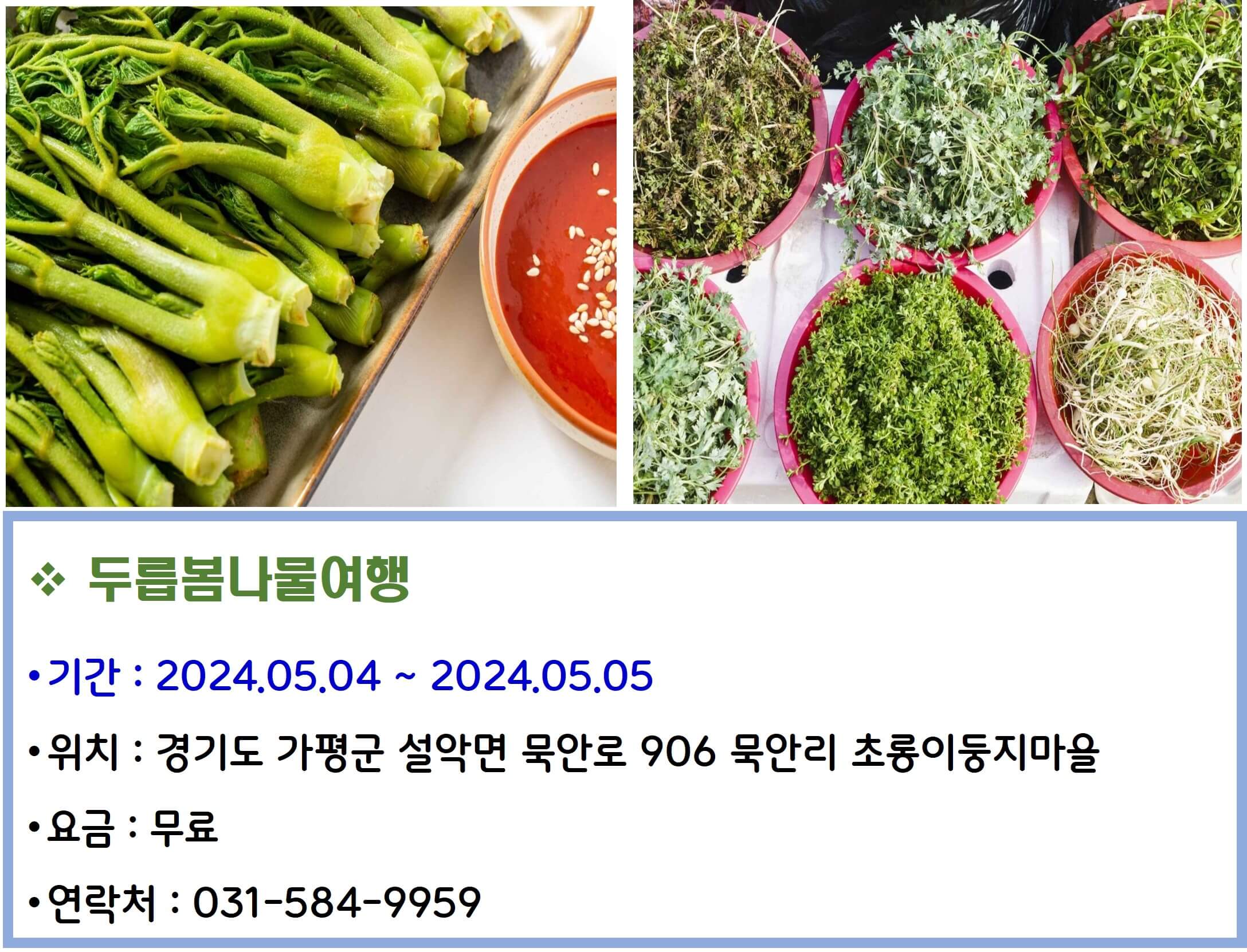 두릅봄나물여행