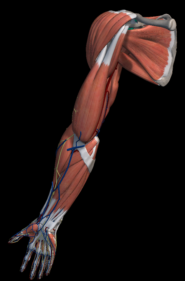 어깨 충돌 증후군 원인 증상 치료법