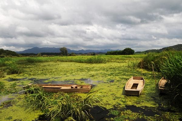 경남 창녕군 우포늪, 우포생태관, 우포출렁다리