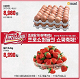 랜더스데이