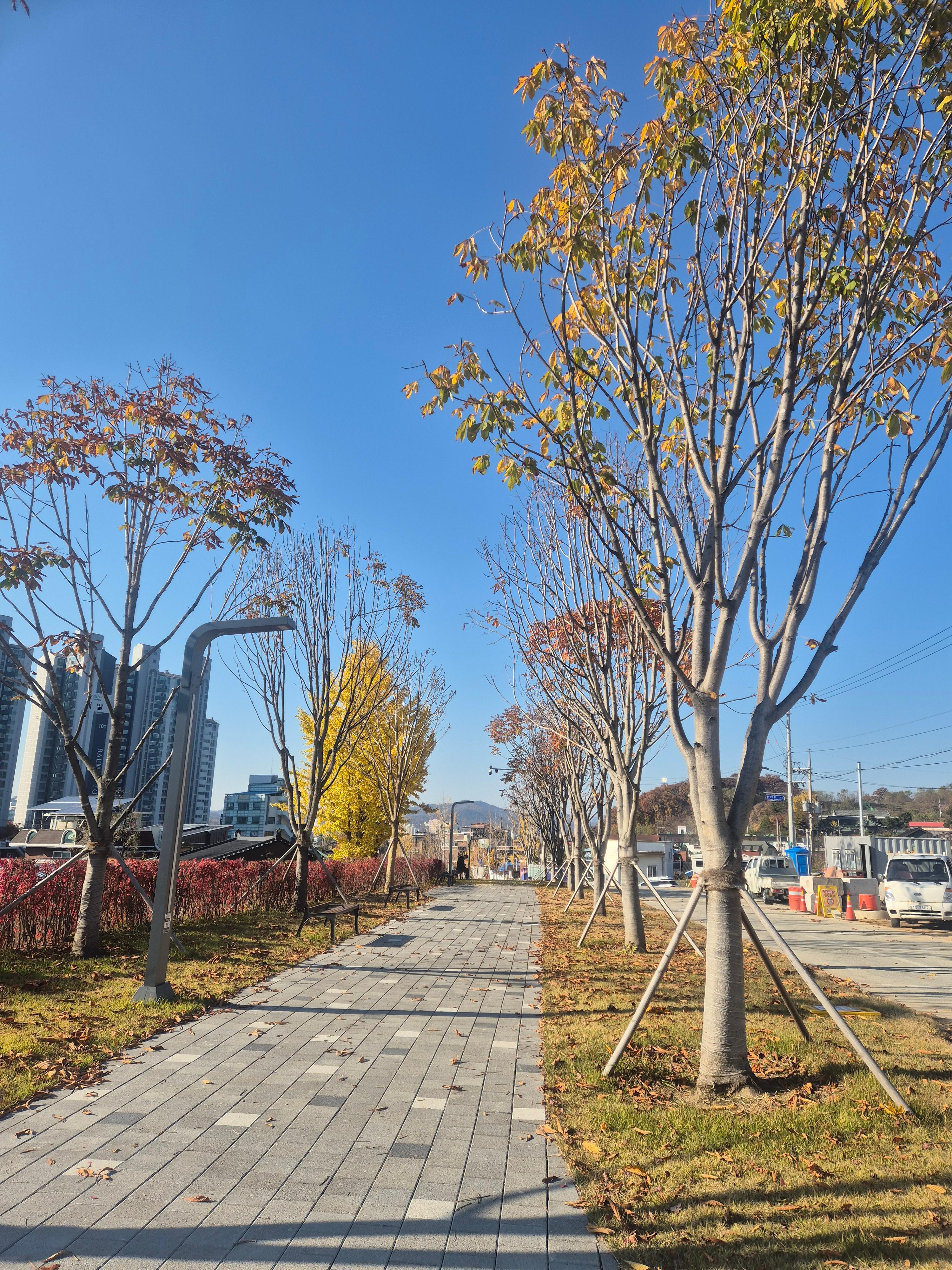 어르신 이미용권 지원