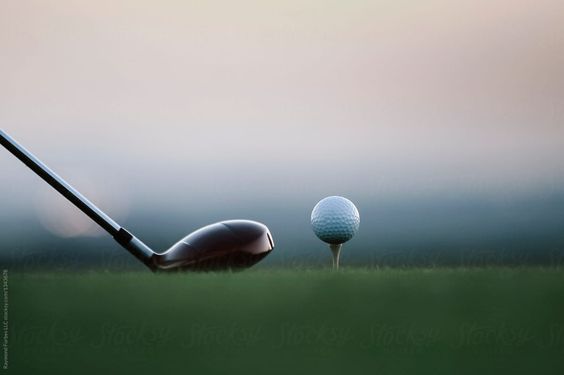 드라이버-관용성-비거리-선택가이드