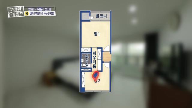 구해줘홈즈 목동 학프라마타타 학교 학원가 도보권 교육 인프라 양천구 목동 전세 최대 12억 매물 가격 및 구조 인테리어 리모델링 최종선택