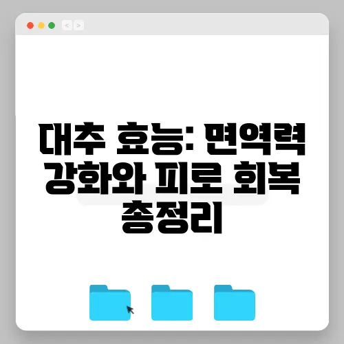 대추 효능: 면역력 강화와 피로 회복 총정리