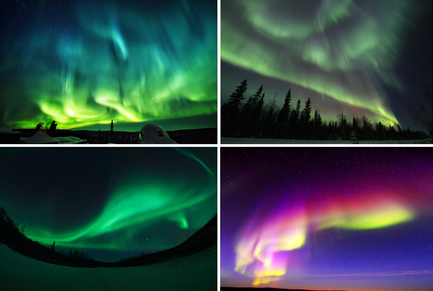 미국 알래스카 페어뱅크스(Fairbanks)