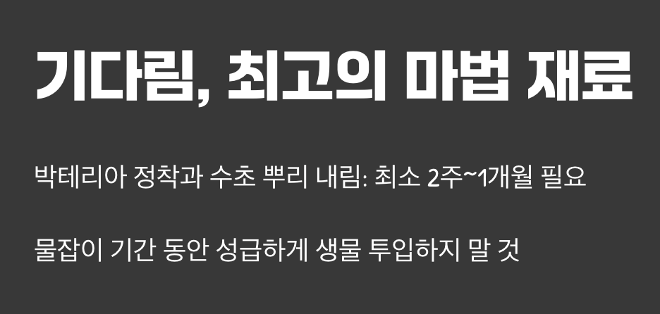 기다림, 최고의 마법 재료