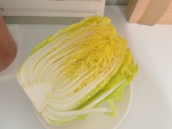 10월 제철음식 배추