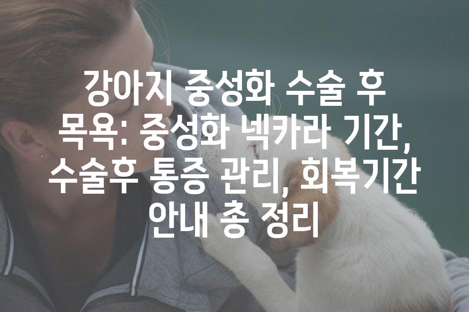 Pet care 1