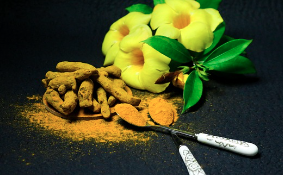 강황가루 하루 섭취량 및 먹는 방법