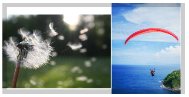 민들레씨 낙하산