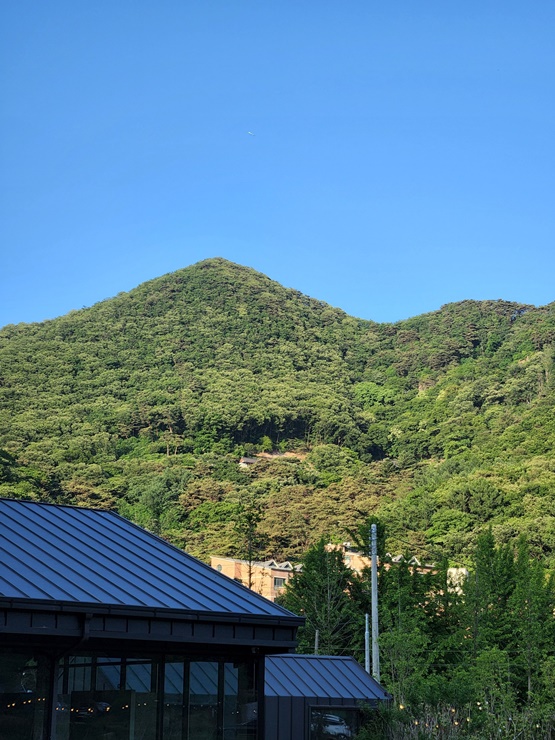 묵리 외부 산 경치