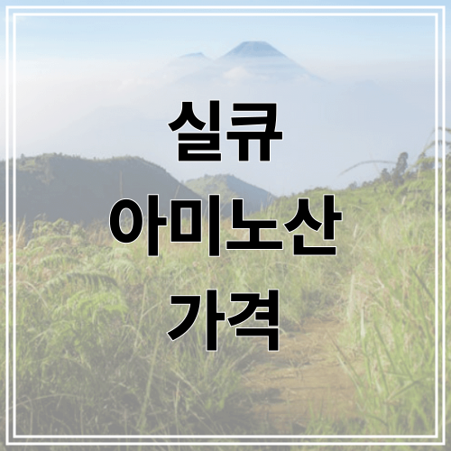 실큐 아미노산 가격