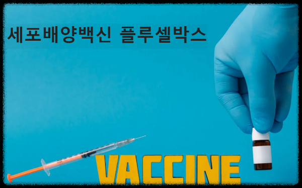 인플루엔자 세포배양백신 플루셀박스에 대해서 알아보자.