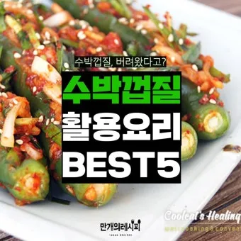 수박껍질 음식물쓰레기 헷갈리는 분들을 위한 정확한 정리_20