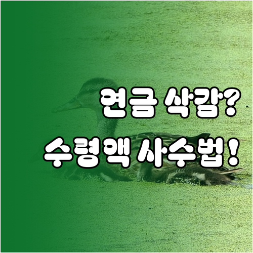 육아기 근로시간 단축 국민연금 영향 ..