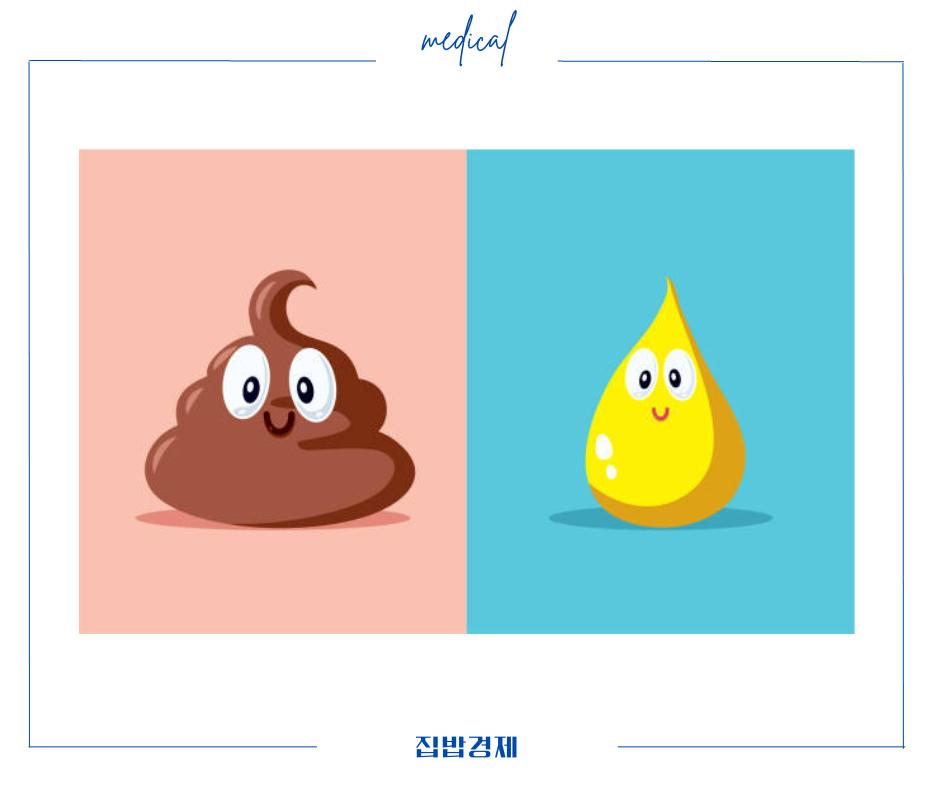 비맥스메타비 복약정보