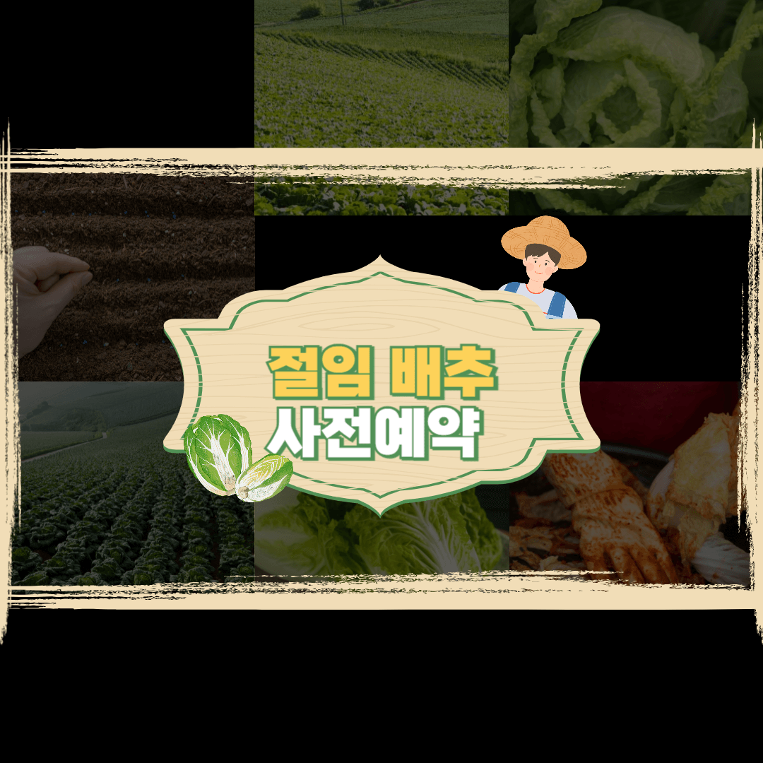 절임배추사전예약