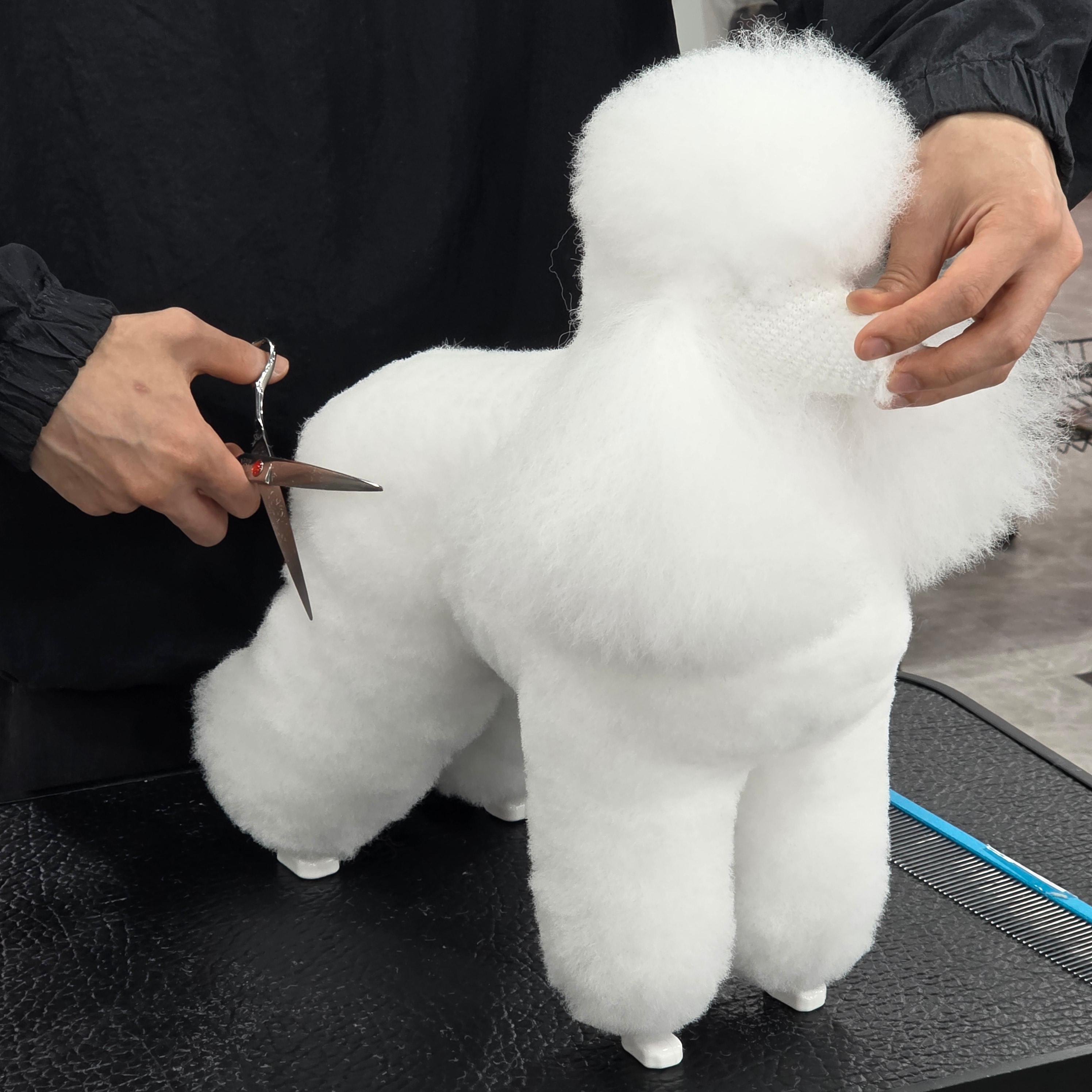 일산애견미용 비용