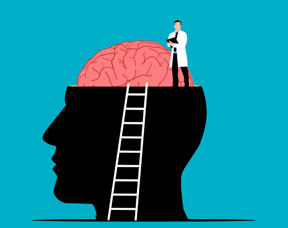 뇌연구 건강심리학