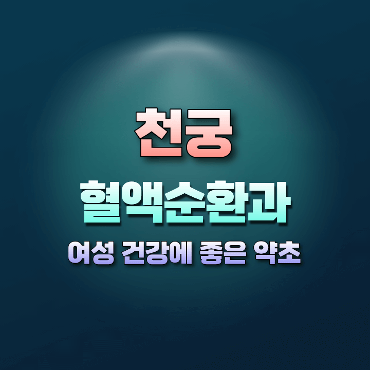 천궁의효능