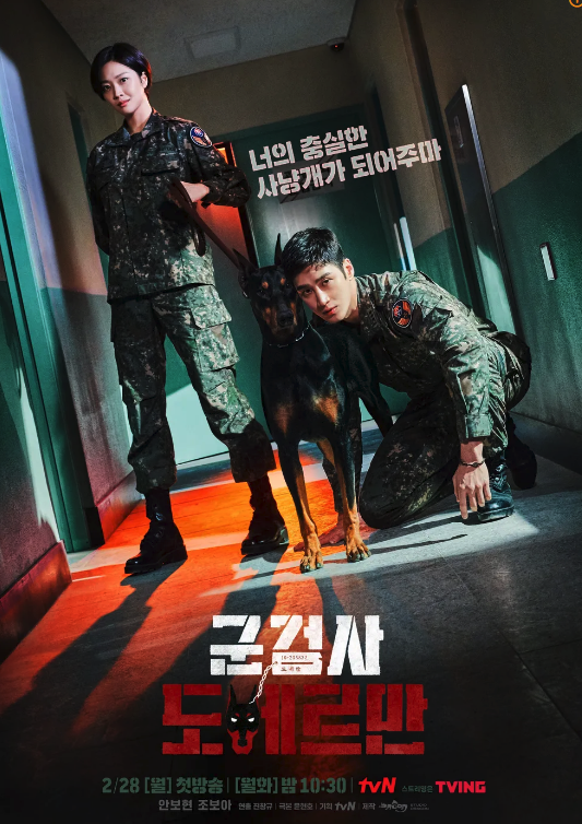 군검사도베르만