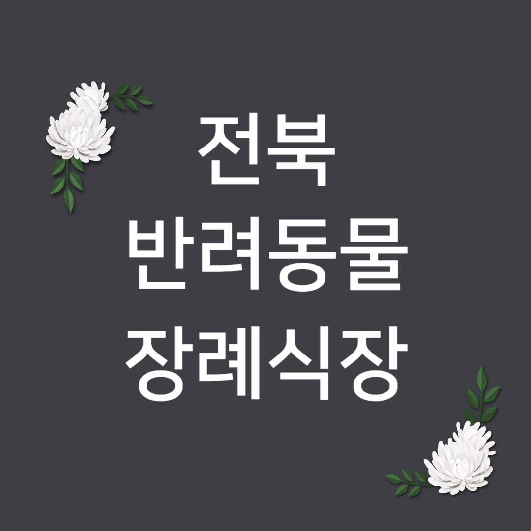 전북 강아지 장례업체