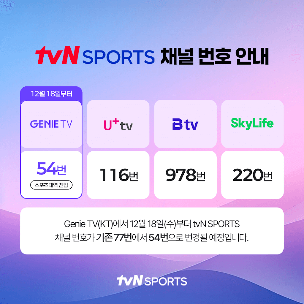 호주 오픈 테니스 대회