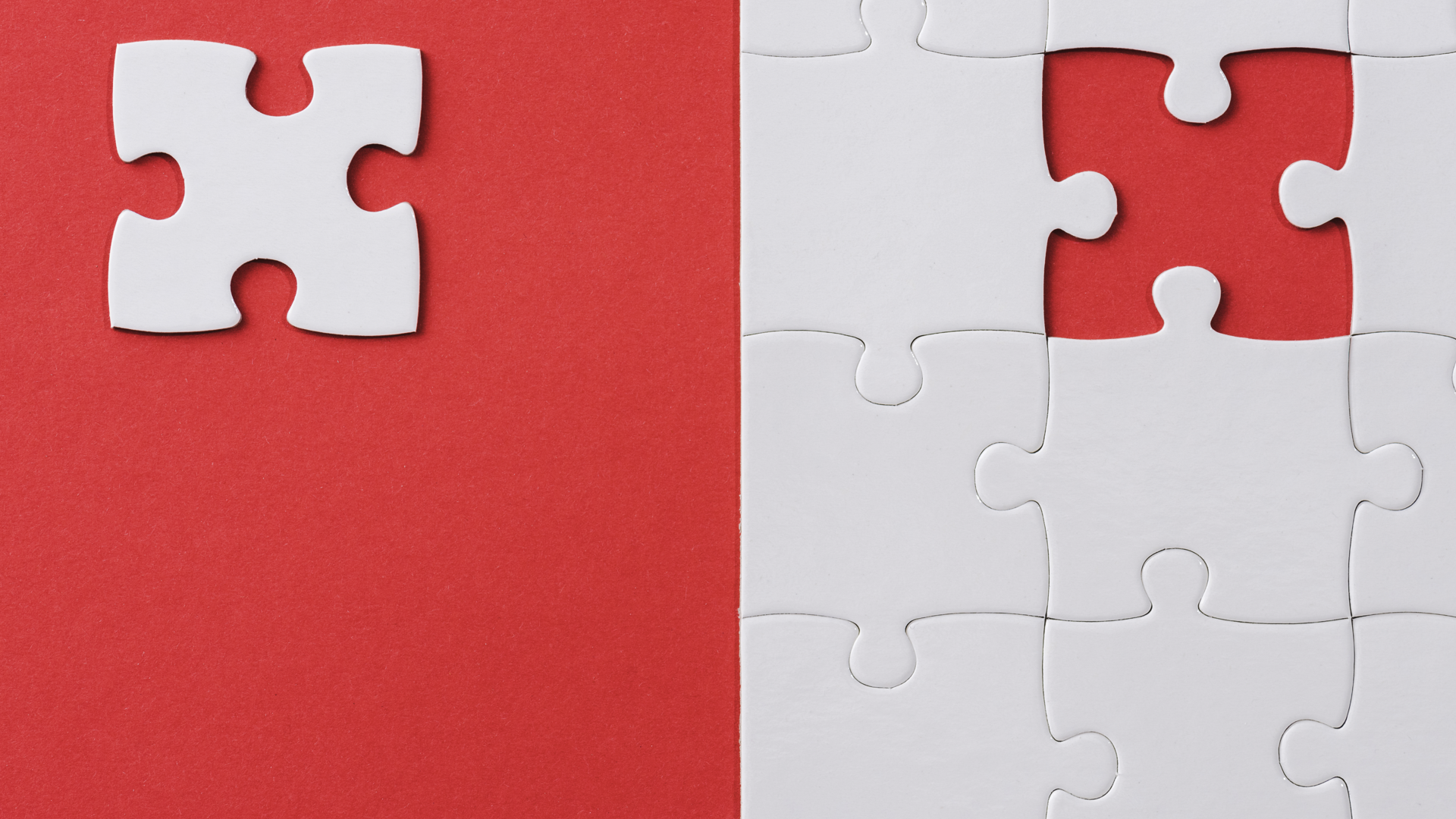 냉동과 생 블루베리의 차이점